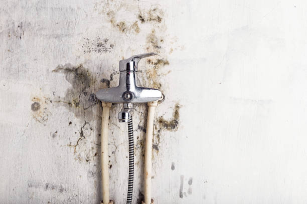 Best Mold Testing  in Oakland, TN