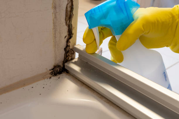 Best Mold Testing  in Oakland, TN