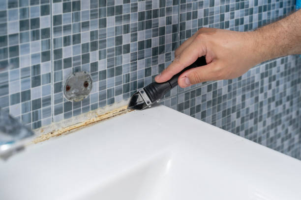 Best Residential Mold Removal  in Oakland, TN